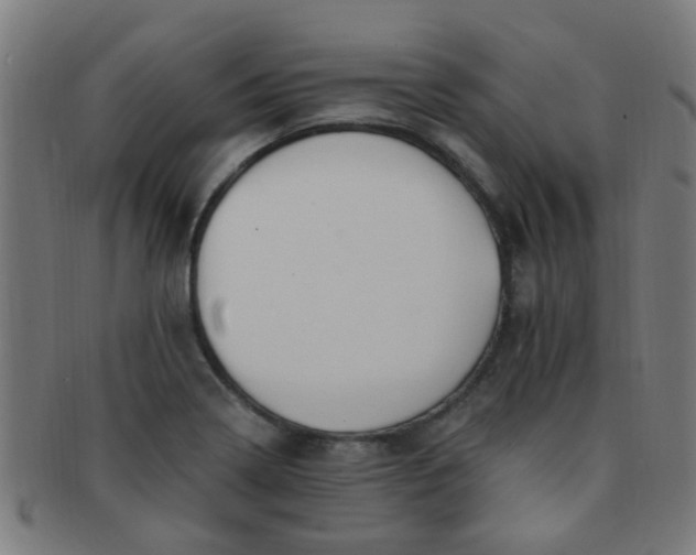 X0000091371322200708241324