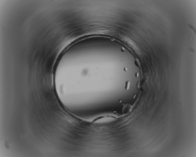 X0000091371324200708241324