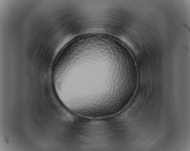 X0000091371325200708241324