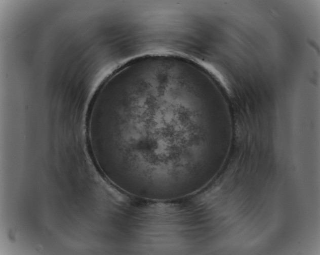 X0000091371327200708241324