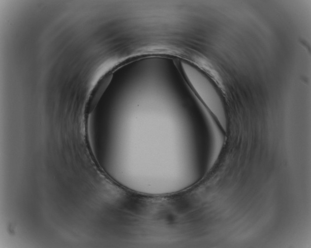 X0000091371328200708241324