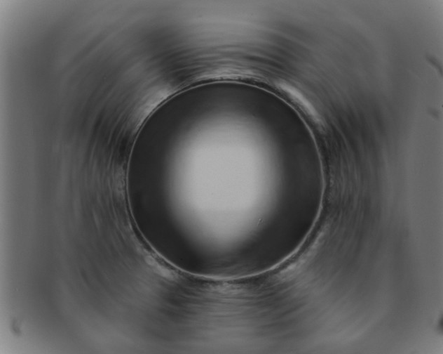 X0000091371329200708241324