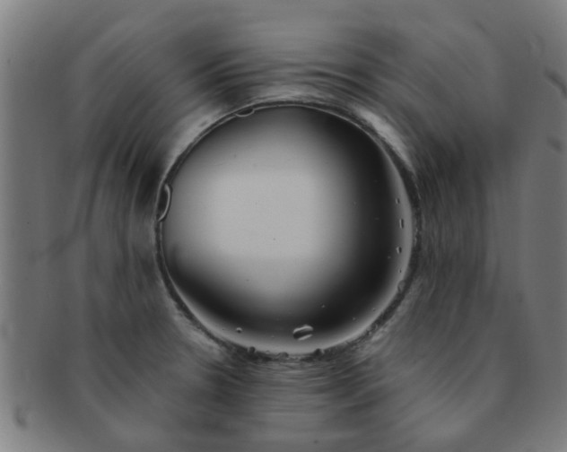 X0000091371330200708241324