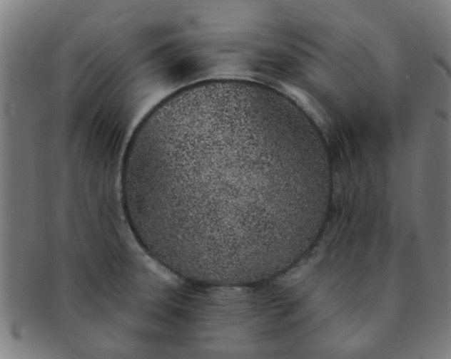 X0000091371331200708241324