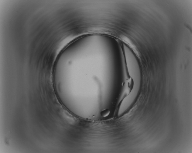 X0000091371336200708241324