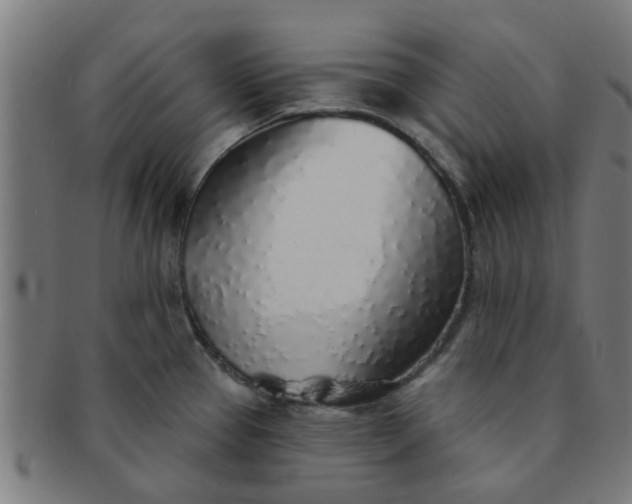 X0000091371337200708241324