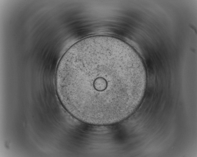 X0000091371338200708241324