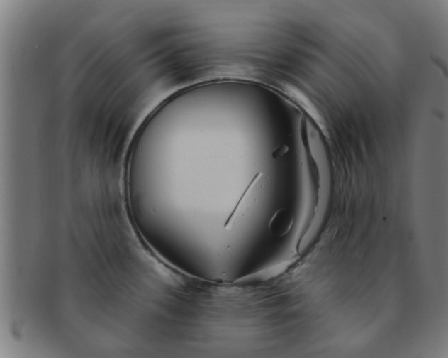 X0000091371339200708241324