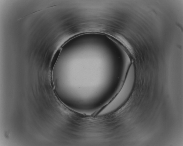 X0000091371340200708241324