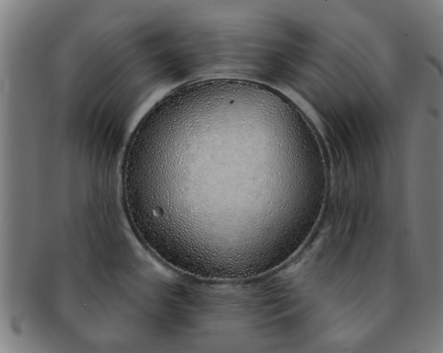 X0000091371341200708241324