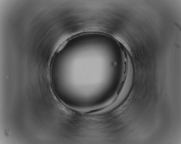 X0000091371342200708241324