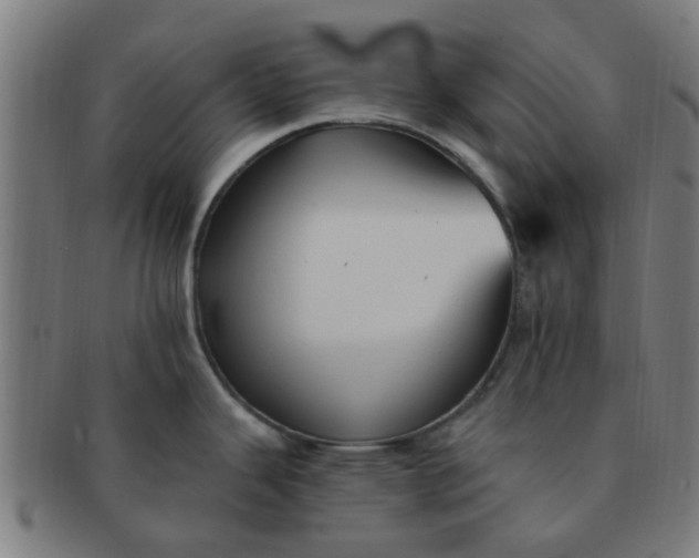 X0000091371343200708241324