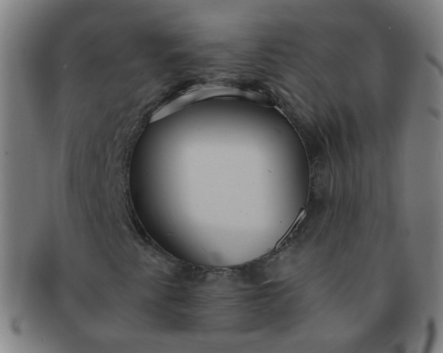 X0000091371345200708241324