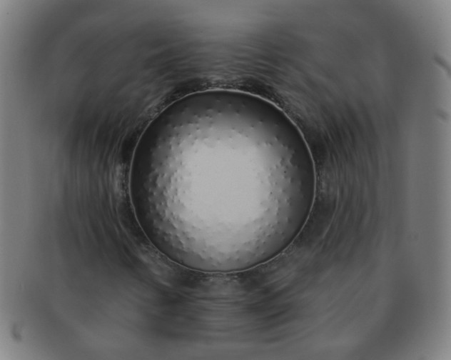 X0000091371346200708241324