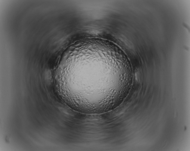 X0000091371347200708241324