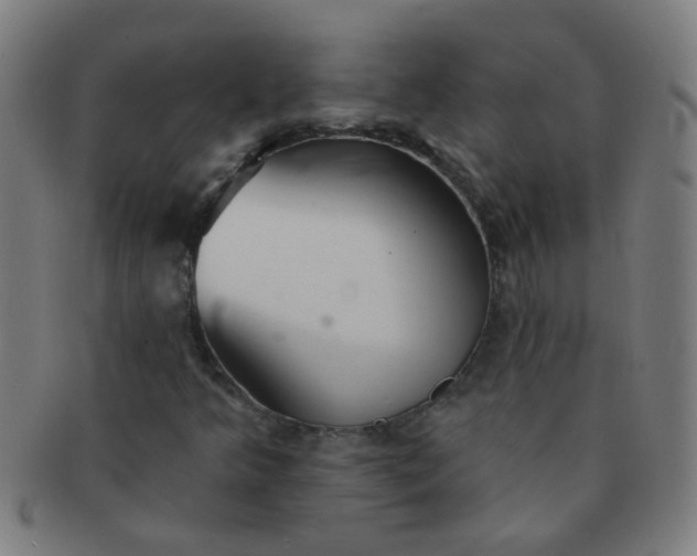 X0000091371349200708241324