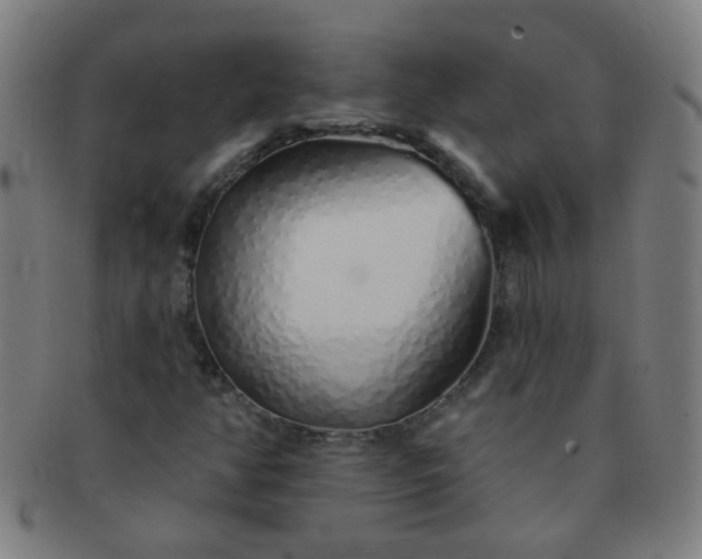 X0000091371350200708241324