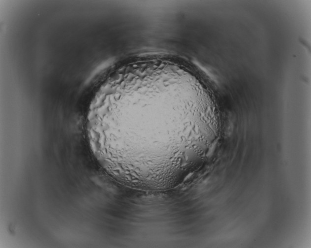 X0000091371351200708241324