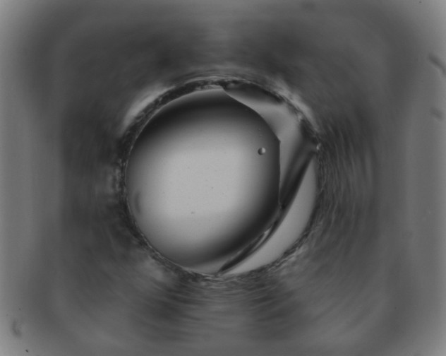 X0000091371352200708241324