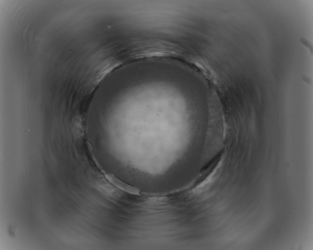 X0000091371353200708241324