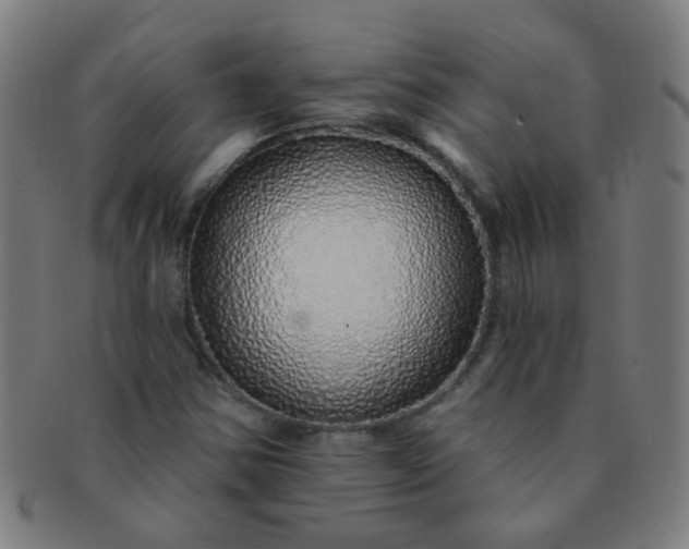 X0000091371354200708241324