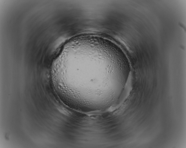 X0000091371355200708241324