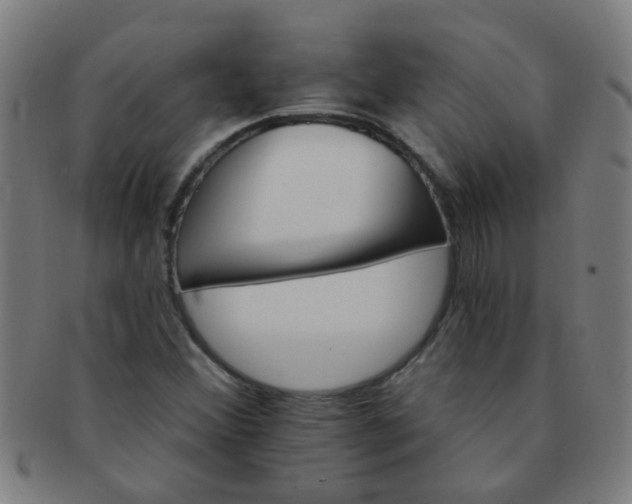 X0000091371356200708241324