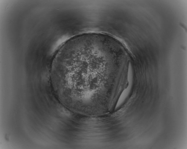 X0000091371359200708241324