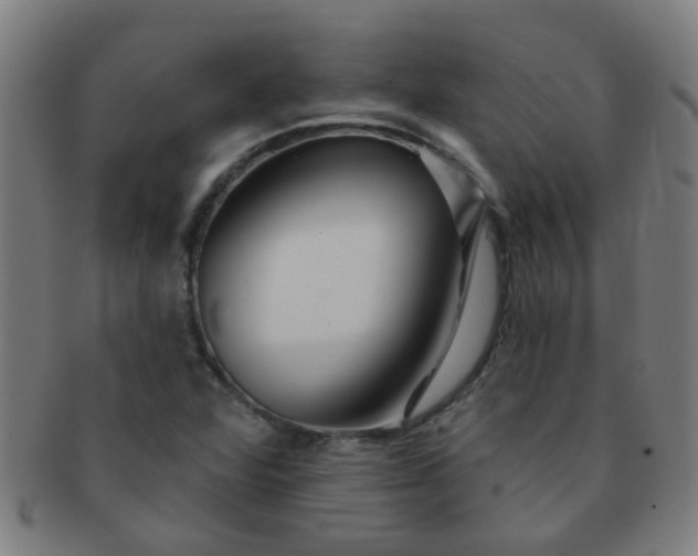 X0000091371360200708241324