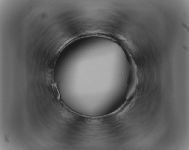 X0000091371361200708241324