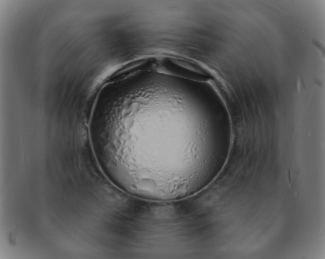 X0000091371363200708241324