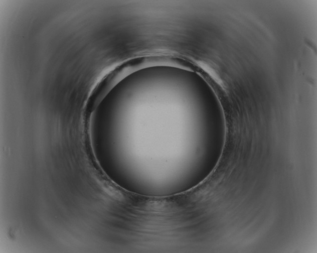 X0000091371364200708241323