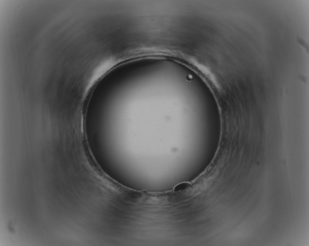 X0000091371365200708241323