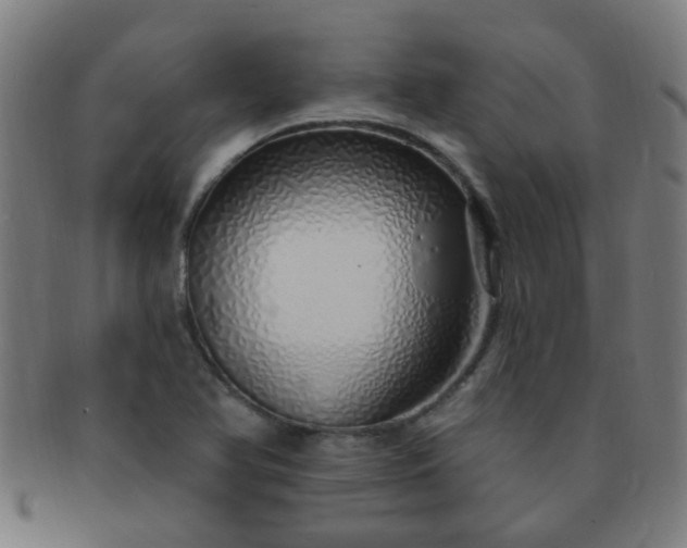 X0000091371366200708241323