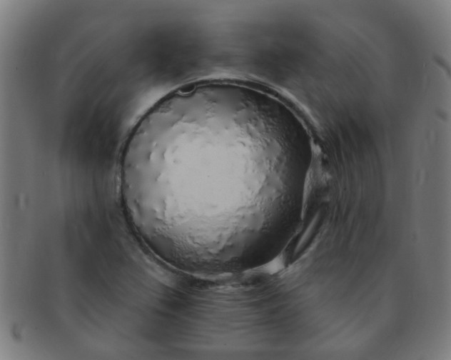 X0000091371367200708241323