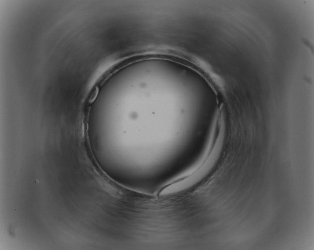 X0000091371368200708241323