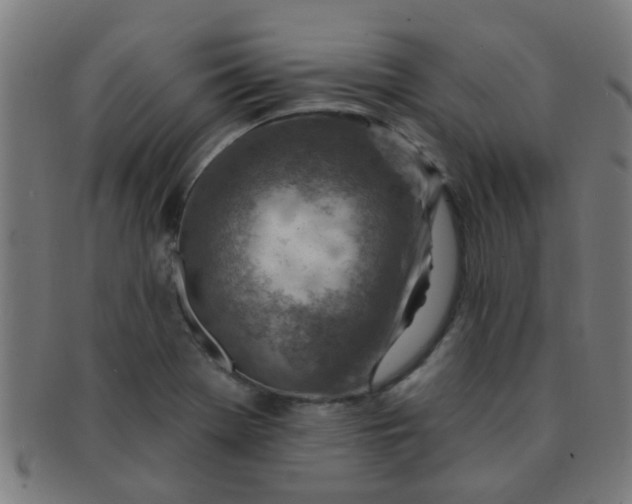 X0000091371369200708241323