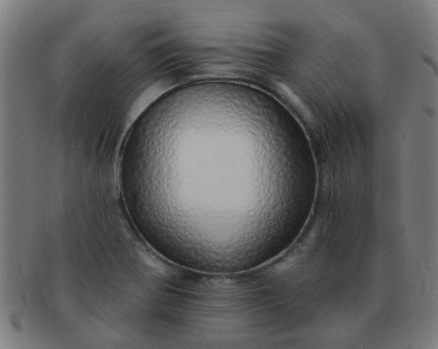 X0000091371370200708241323