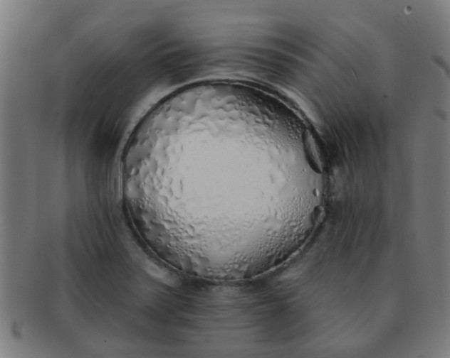 X0000091371371200708241323