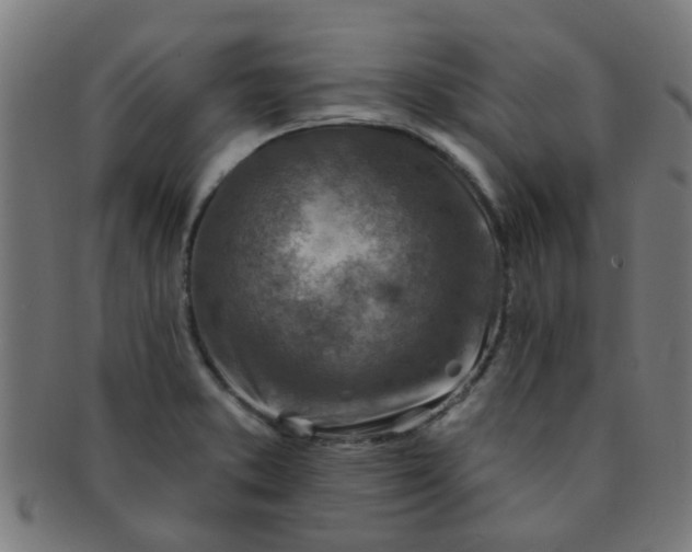 X0000091371373200708241323