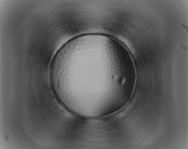 X0000091371374200708241323