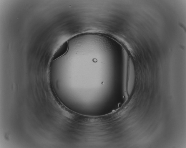 X0000091371375200708241323