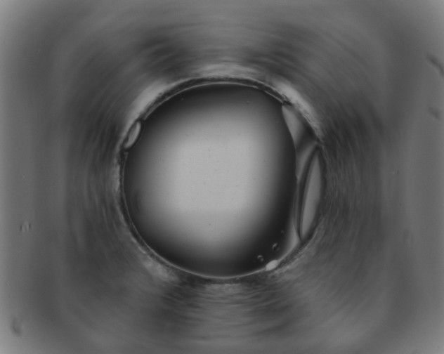 X0000091371376200708241323