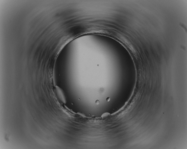 X0000091371377200708241323