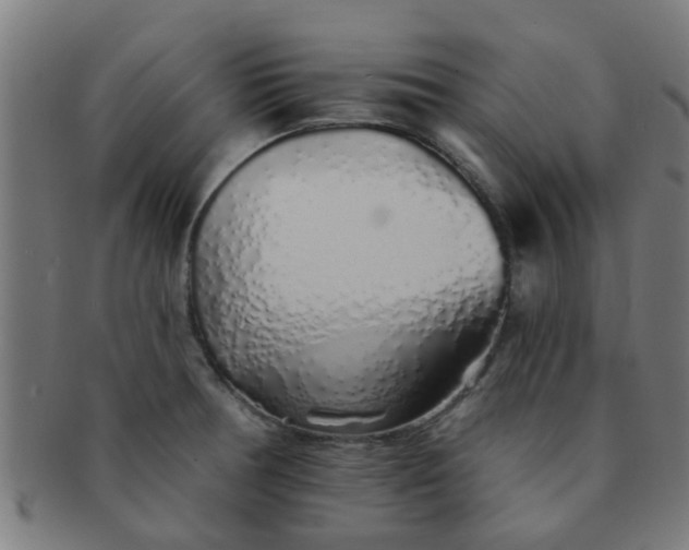 X0000091371378200708241323