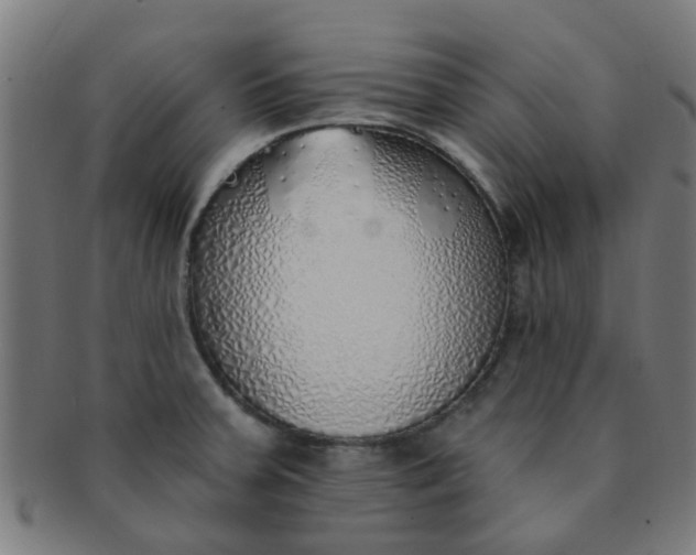 X0000091371379200708241323