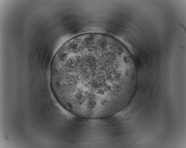 X0000091371383200708241323