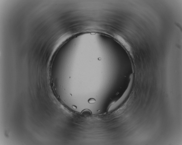 X0000091371384200708241323