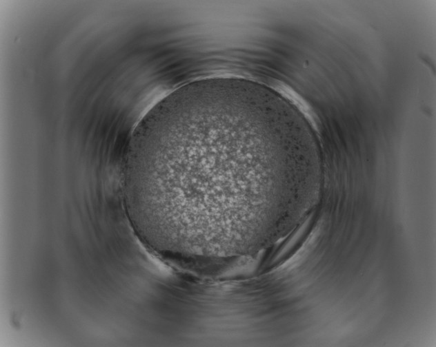 X0000091371385200708241323