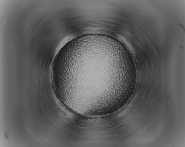 X0000091371386200708241323